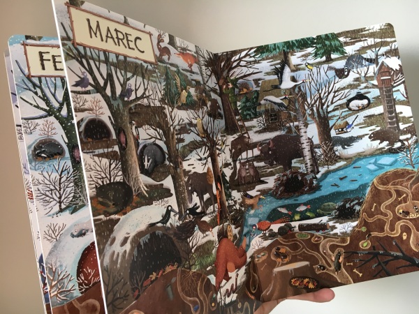 Rok v lese, ilustrovaná kniha